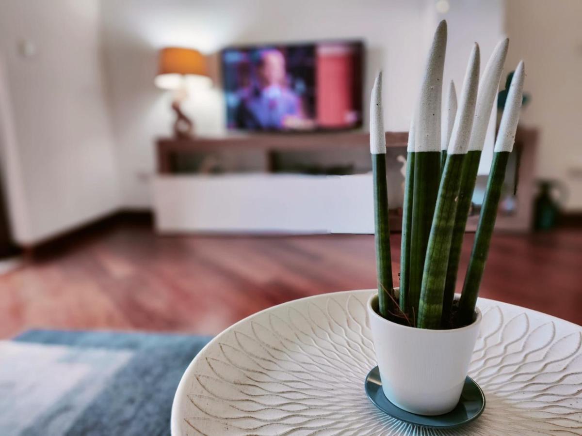 דירות רומא Ada'S Garden House מראה חיצוני תמונה